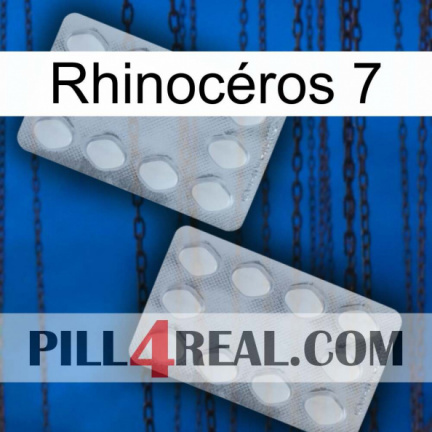 Rhinocéros 7 17
